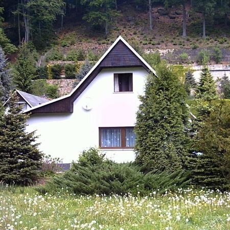 Ferienhaus Greti Stadt Wehlen Eksteriør bilde